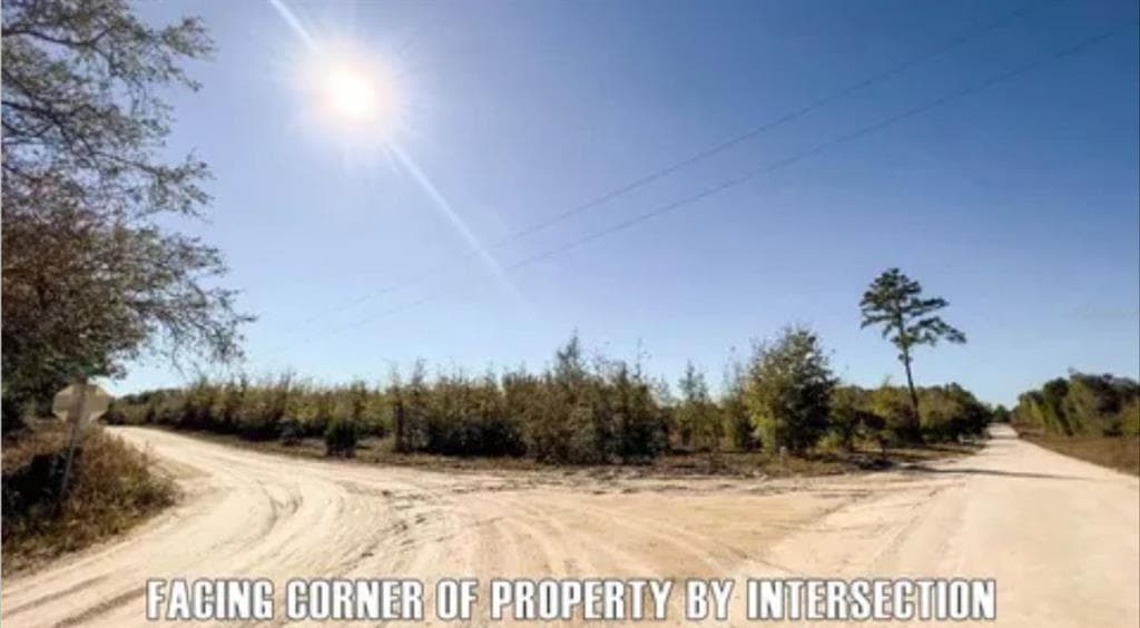 unimproved land for sale at 0 164th Road, McAlpin, FL 32062 — photo 2