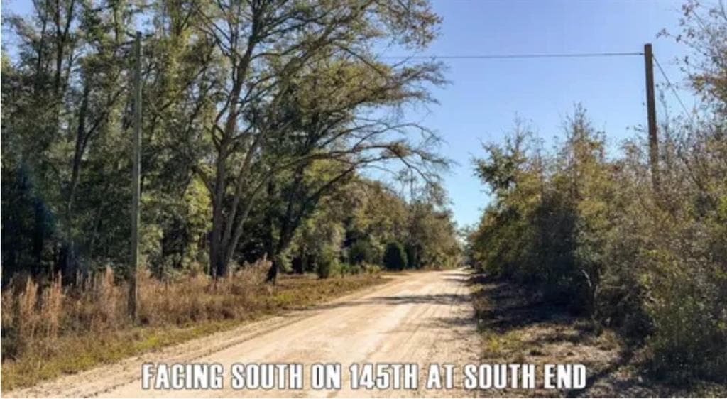 unimproved land for sale at 0 164th Road, McAlpin, FL 32062 — photo 3