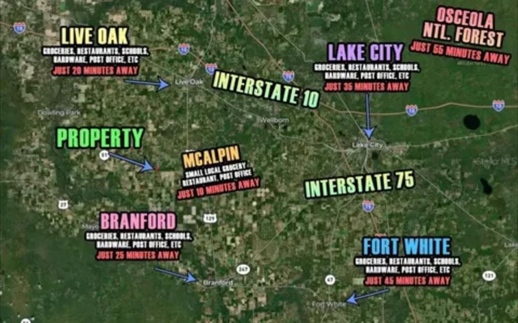 unimproved land for sale at 0 164th Road, McAlpin, FL 32062 — photo 4