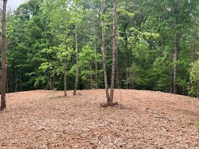 other sold at 005 Swan Bridge Road, Talking Rock, GA 30175
