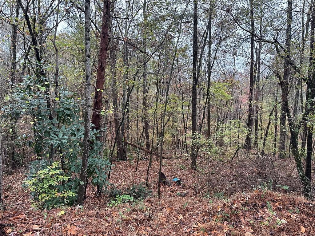 2 bedroom, 1 bathroom other sold at 1531 Four Mile Church Road, Ball Ground, GA 30107