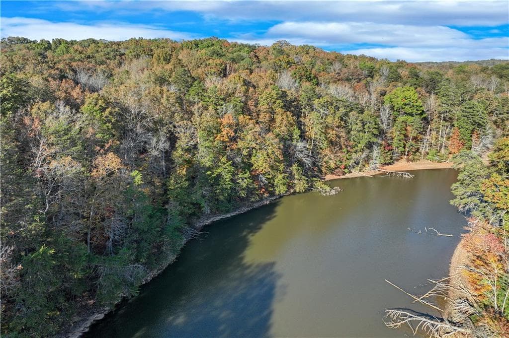 unimproved land for sale at 3320 Cleveland Highway, Gainesville, GA 30506 — photo 9