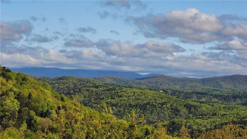 unimproved land for sale at 1012 Wild Turkey Bluff, Jasper, GA 30143 — photo 1 of 15