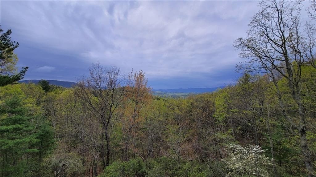 unimproved land for sale at 1012 Wild Turkey Bluff, Jasper, GA 30143 — photo 2