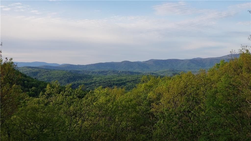 unimproved land for sale at 1012 Wild Turkey Bluff, Jasper, GA 30143 — photo 4