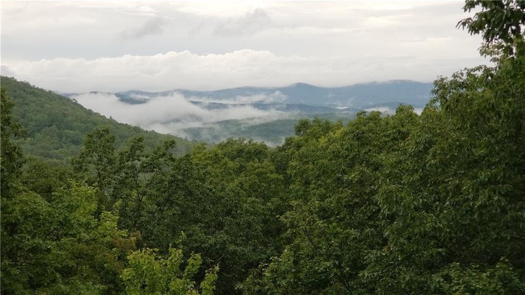 unimproved land for sale at 1012 Wild Turkey Bluff, Jasper, GA 30143 — photo 5