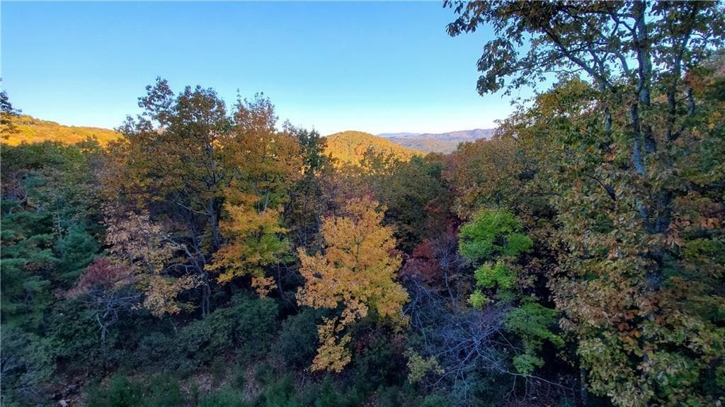 unimproved land for sale at 1012 Wild Turkey Bluff, Jasper, GA 30143 — photo 6