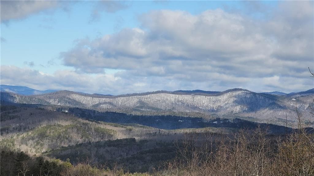 unimproved land for sale at 1012 Wild Turkey Bluff, Jasper, GA 30143 — photo 9