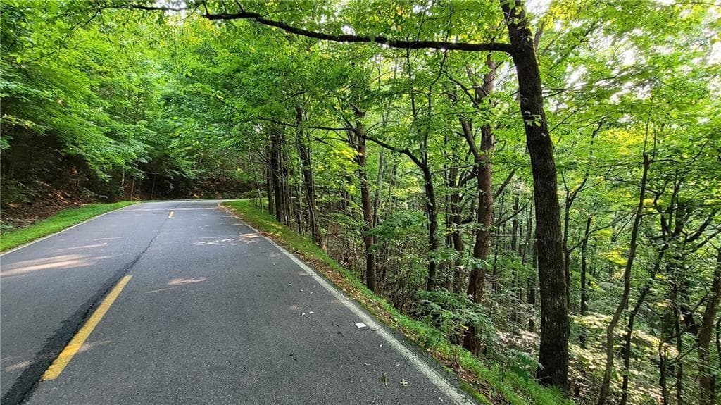 unimproved land for sale at 1012 Wild Turkey Bluff, Jasper, GA 30143 — photo 10
