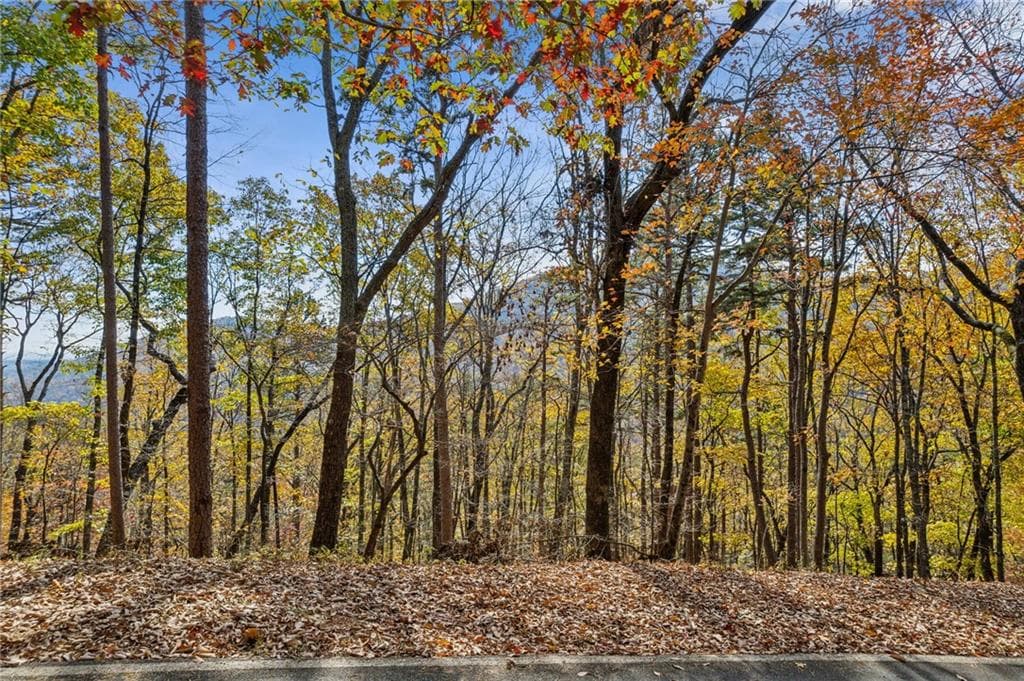 single family residence for sale at 6057 Crested Iris, Big Canoe, GA 30143 — photo 6