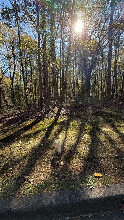 single family residence for sale at LOT 15 Fairview Springs Drive, Ellenwood, GA 30284 — photo 2