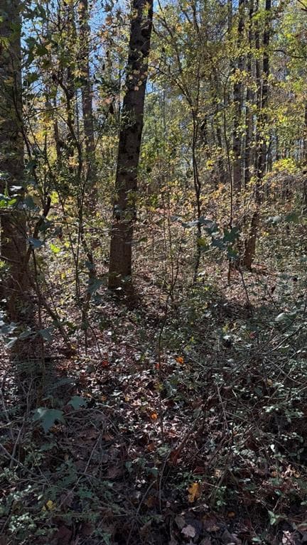 single family residence for sale at LOT 15 Fairview Springs Drive, Ellenwood, GA 30284 — photo 3