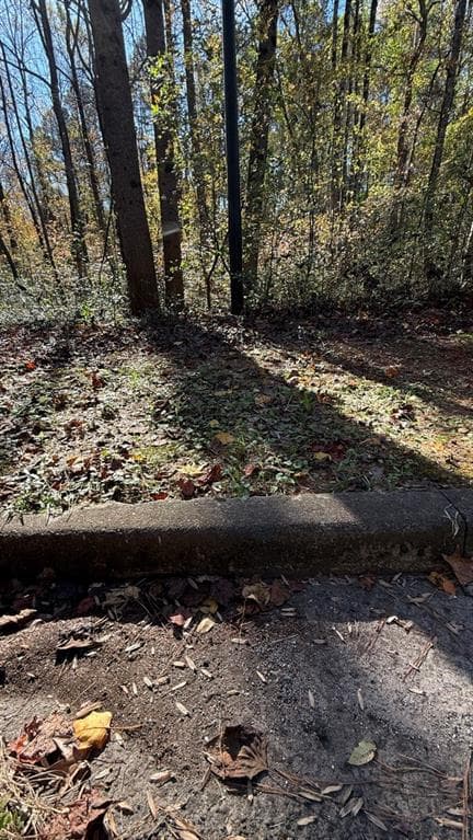 single family residence for sale at LOT 15 Fairview Springs Drive, Ellenwood, GA 30284 — photo 4