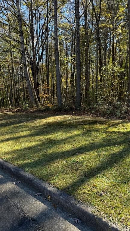 single family residence for sale at LOT 15 Fairview Springs Drive, Ellenwood, GA 30284 — photo 5