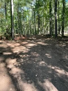 unimproved land for sale at 0 CAMPBELLTON Road, Atlanta, GA 30331 — photo 6