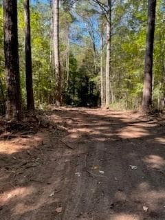 unimproved land for sale at 0 CAMPBELLTON Road, Atlanta, GA 30331 — photo 7