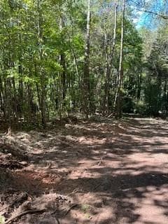 unimproved land for sale at 0 CAMPBELLTON Road, Atlanta, GA 30331 — photo 9