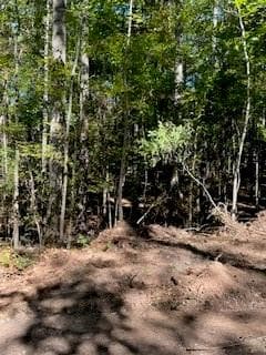 unimproved land for sale at 0 CAMPBELLTON Road, Atlanta, GA 30331 — photo 10