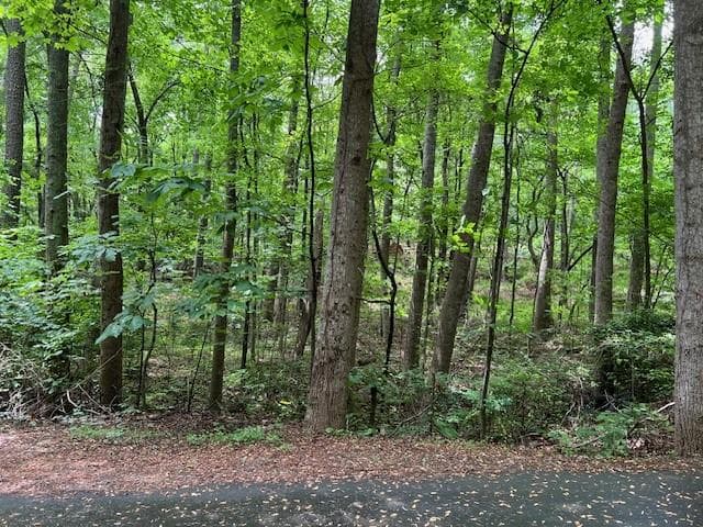 unimproved land for sale at 0 Noonday Church Road, Marietta, GA 30066 — photo 1 of 1