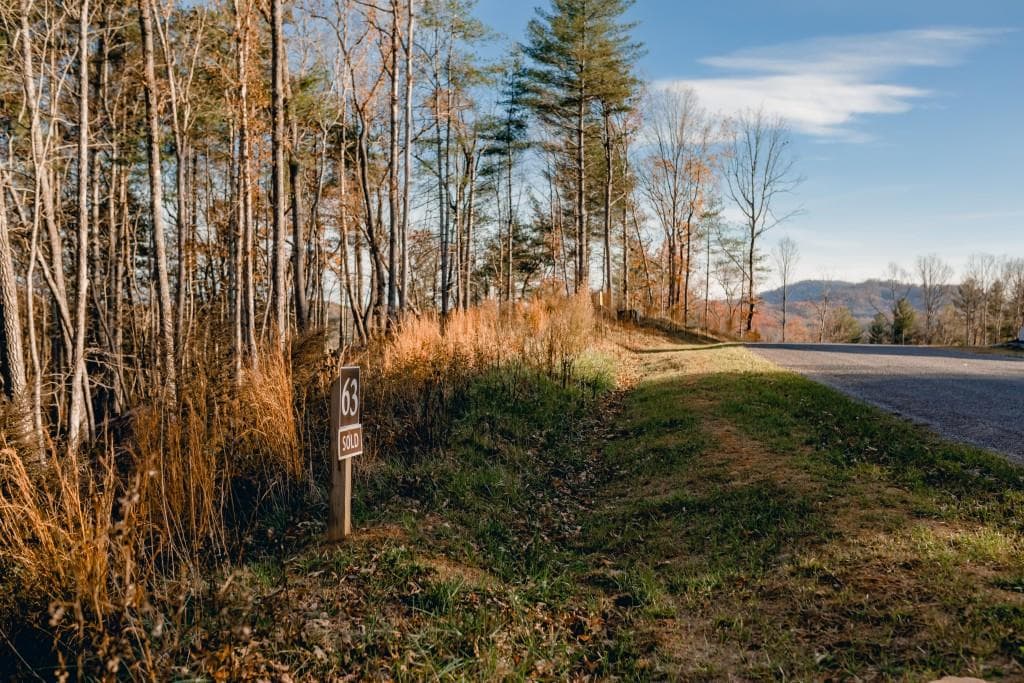 other sold at LT 63 Ridges Of Blue Ridge, Morganton, GA 30560