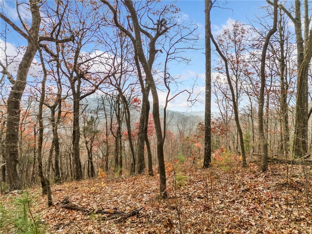 single family residence sold at LT273 Andes Ridge, Ellijay, GA 30536