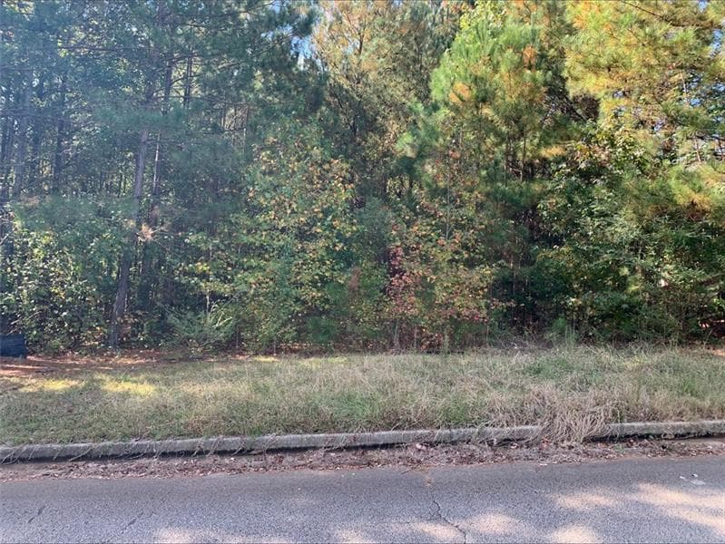 4125 Alayna Lee Circle, Mcdonough, GA 30252 — most recent listing photo