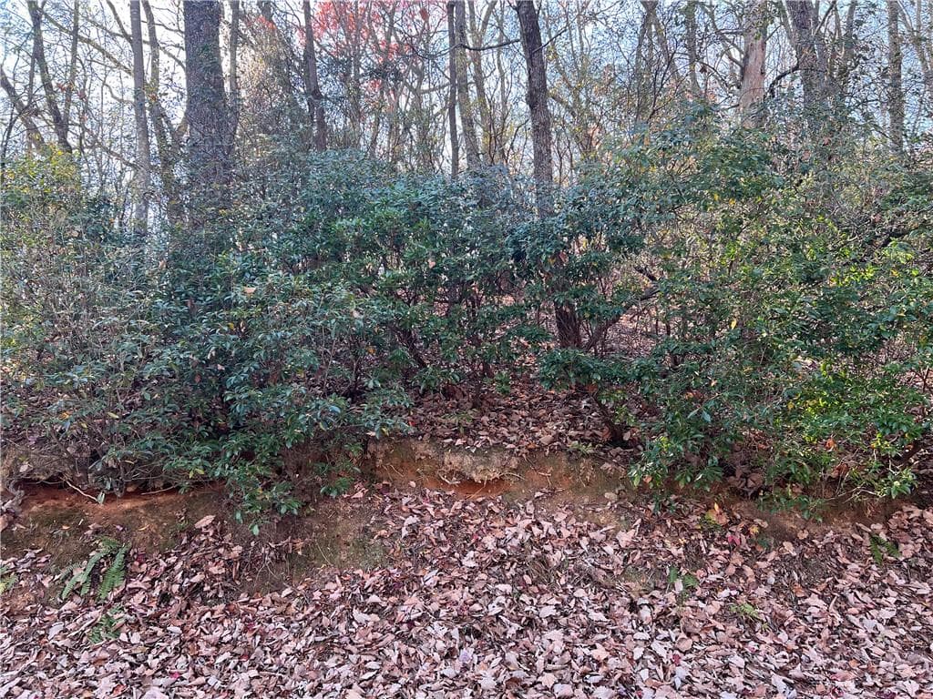 single family residence for sale at 4412 Bee Tree Ridge Drive, Jasper, GA 30143 — photo 7