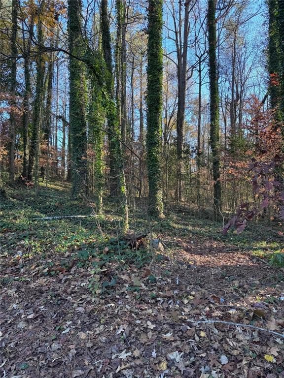 unimproved land for sale at 0 Headland Drive, East Point, GA 30344 — photo 1 of 1