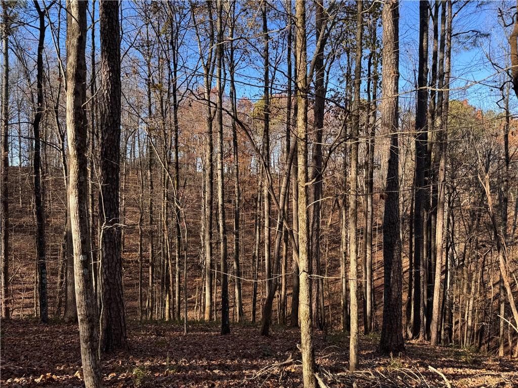 single family residence for sale at 129 Adair Drive, Ranger, GA 30734 — photo 4