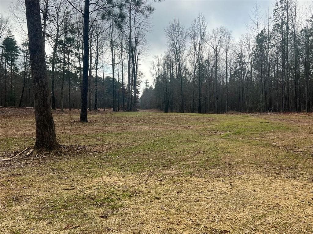 other under contract at 7 Crawford Crest, Dawsonville, GA 30534 — photo 9