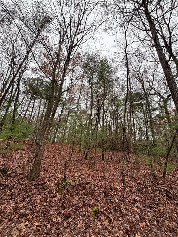 single family residence sold at 0 Jetty Drive, Ellijay, GA 30540