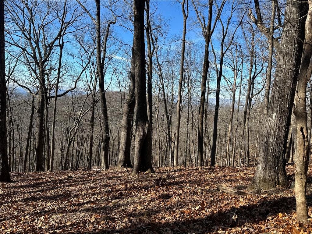 single family residence for sale at Lot671 Valley View Trail, Jasper, GA 30143 — photo 2