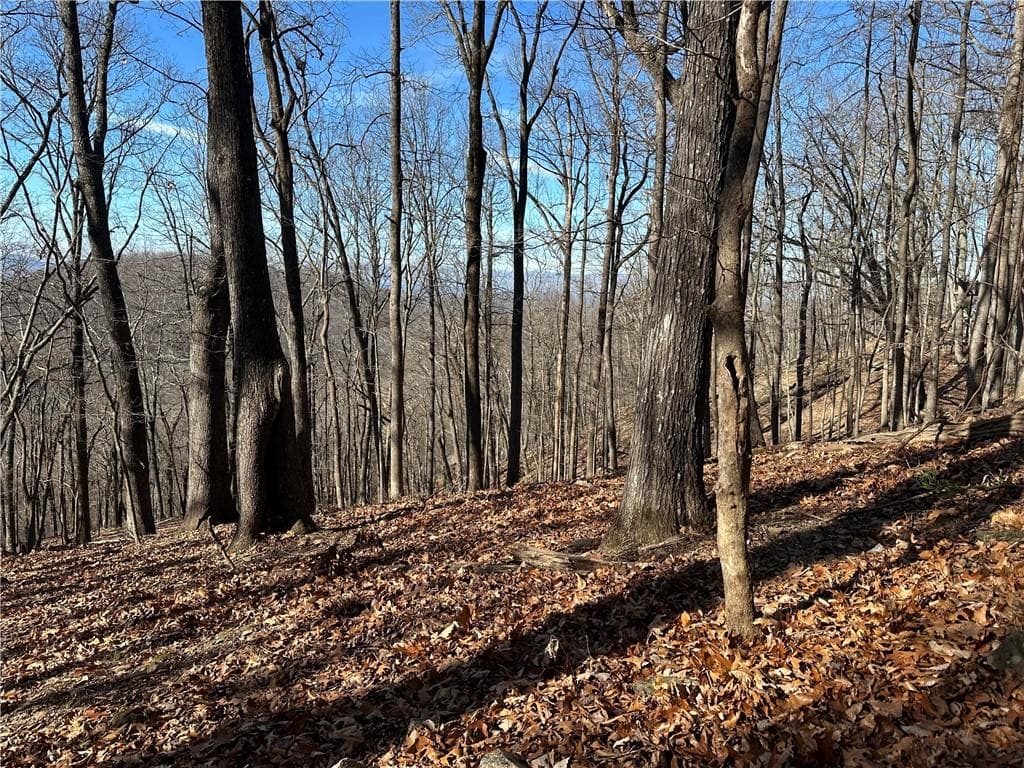 single family residence for sale at Lot671 Valley View Trail, Jasper, GA 30143 — photo 3