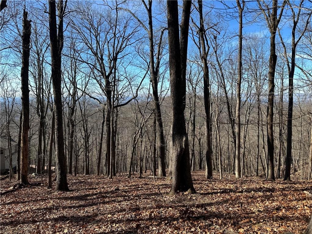 single family residence for sale at Lot671 Valley View Trail, Jasper, GA 30143 — photo 4