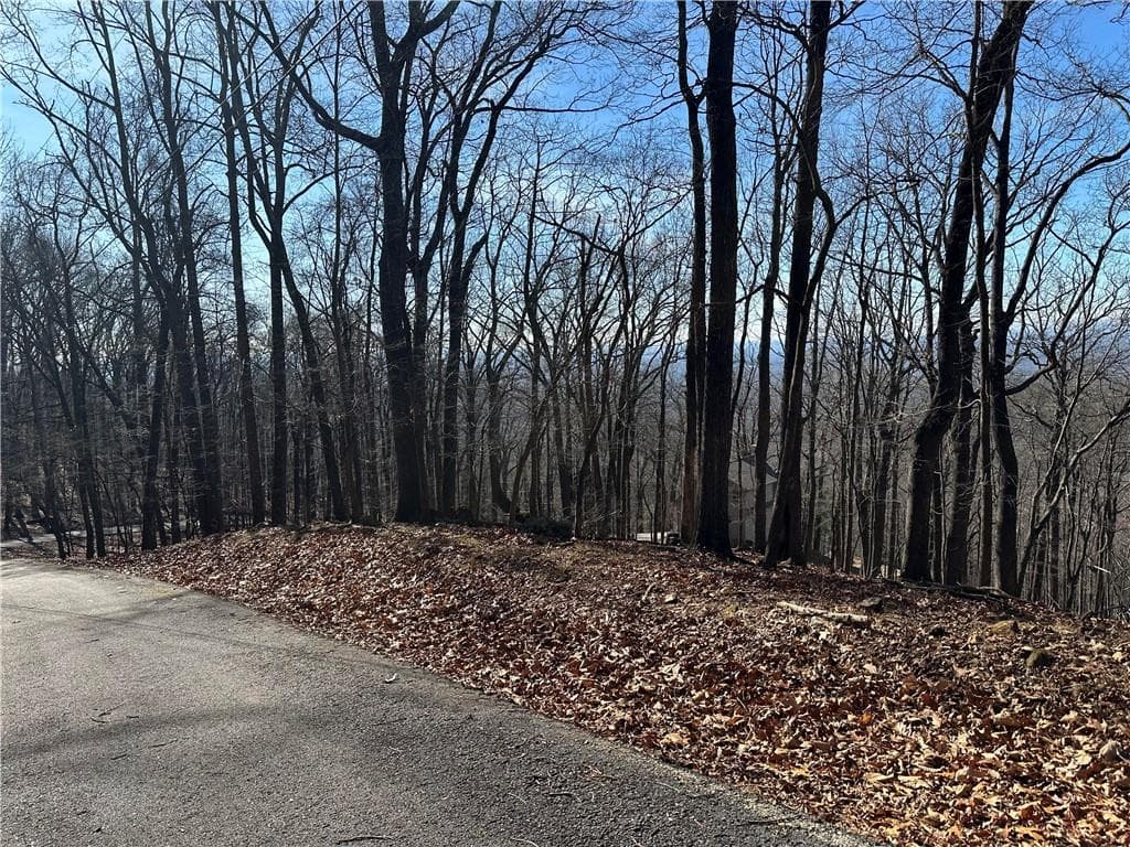 single family residence for sale at Lot671 Valley View Trail, Jasper, GA 30143 — photo 5