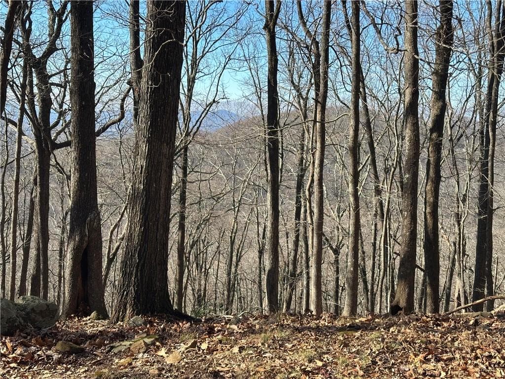 single family residence for sale at Lot671 Valley View Trail, Jasper, GA 30143 — photo 6