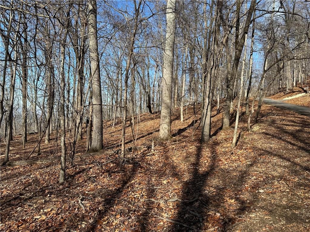 single family residence for sale at Lot671 Valley View Trail, Jasper, GA 30143 — photo 9
