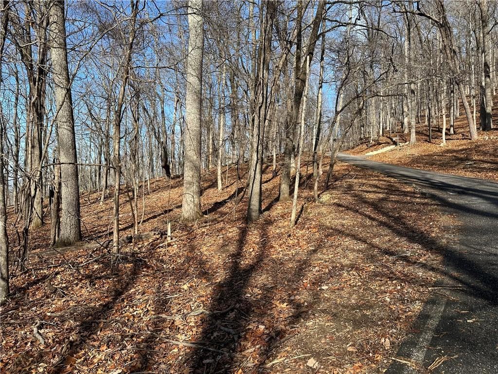 single family residence for sale at Lot671 Valley View Trail, Jasper, GA 30143 — photo 10