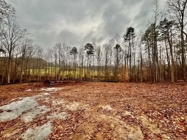 single family residence sold at 0 Rue De Cason May, Carnesville, GA 30521