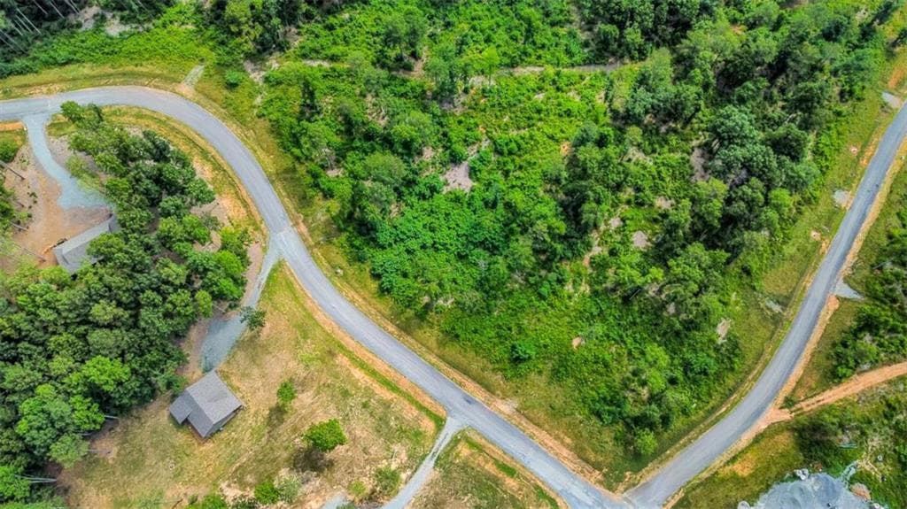 single family residence for sale at LT 207 Oak Park Drive, Talking Rock, GA 30175 — photo 3
