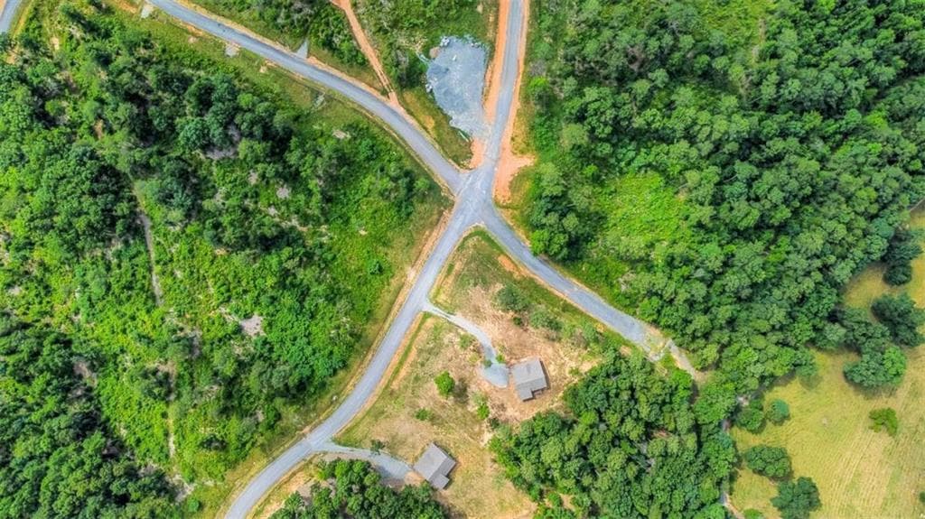 single family residence for sale at LT 207 Oak Park Drive, Talking Rock, GA 30175 — photo 6