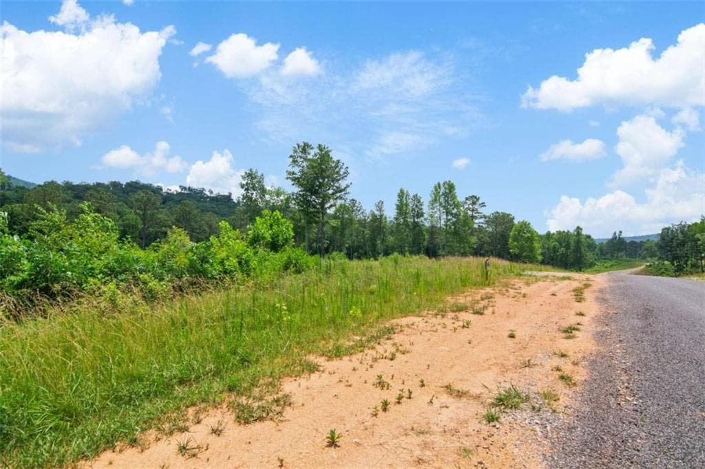 single family residence for sale at LT 196 Oak Park Drive, Talking Rock, GA 30175 — photo 9