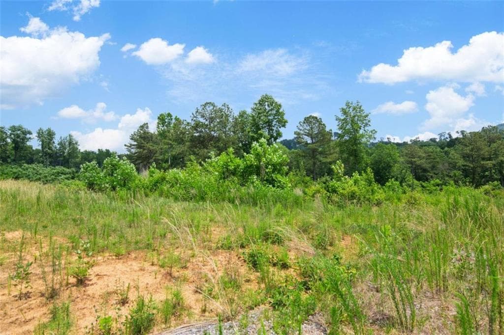 single family residence for sale at LT 196 Oak Park Drive, Talking Rock, GA 30175 — photo 10