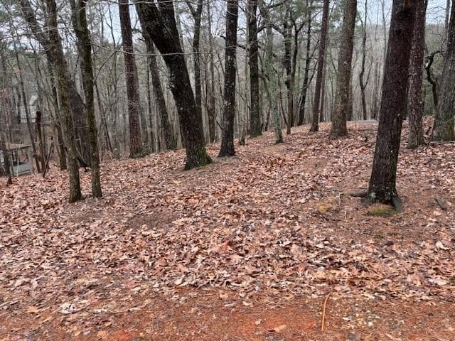 single family residence for sale at 1023 Sparrows Nest, Big Canoe, GA 30143 — photo 3
