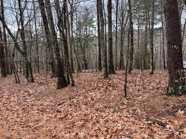 single family residence for sale at 1023 Sparrows Nest, Big Canoe, GA 30143 — photo 5