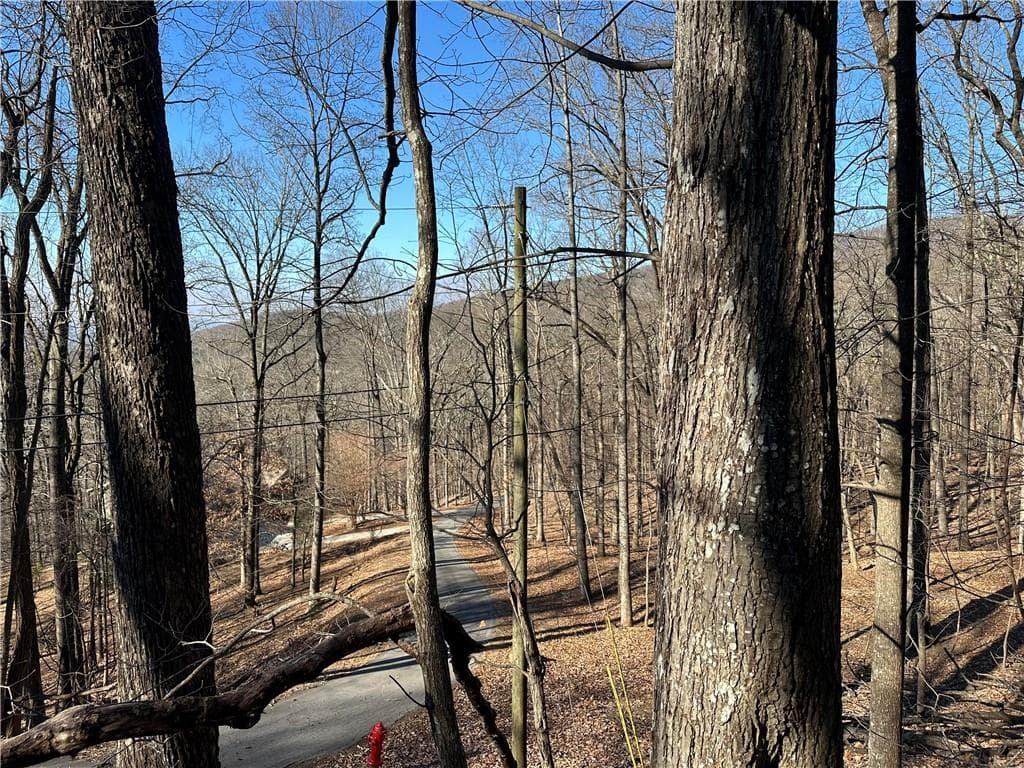 single family residence for sale at Lt1535 Moss Patch Trail, Jasper, GA 30143 — photo 3