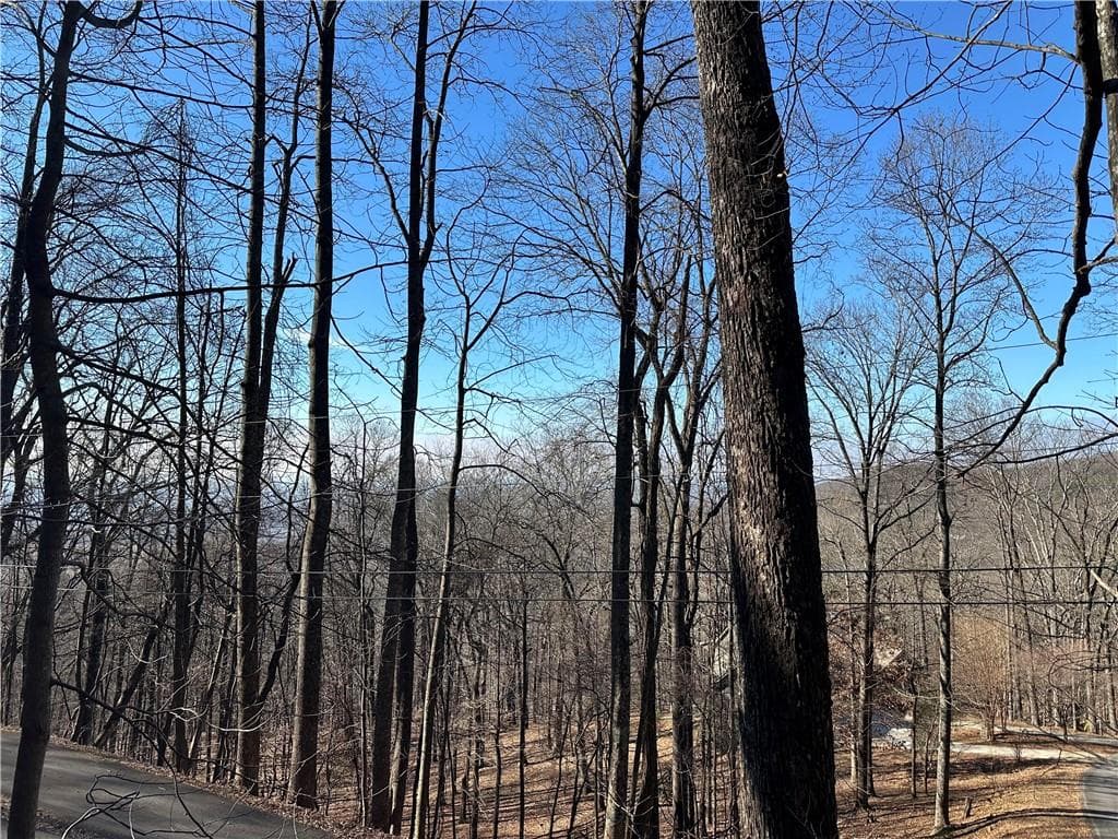 single family residence for sale at Lt1535 Moss Patch Trail, Jasper, GA 30143 — photo 4