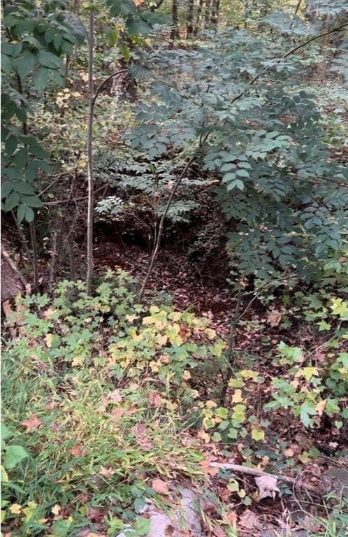 2531 Mohawk Trail