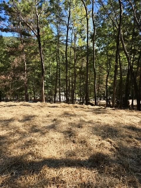 other sold at 29 Treetopper Lane, Big Canoe, GA 30143