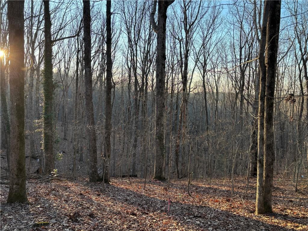 4 bedroom, 1 bathroom unimproved land for sale at 7175 Anderson Lake Road, Dawsonville, GA 30534 — photo 6